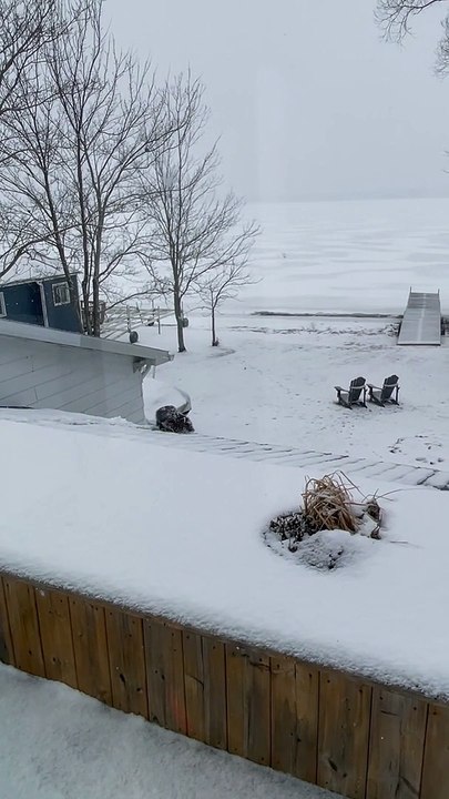 Beaver Trying to Navigating Slick Roof Falls