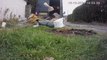 Watch as East Durham fly-tipper is caught on camera illegally dumping waste