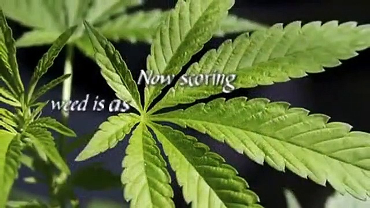 The Whitest Kids U'Know - Se2 - Ep08 HD Watch