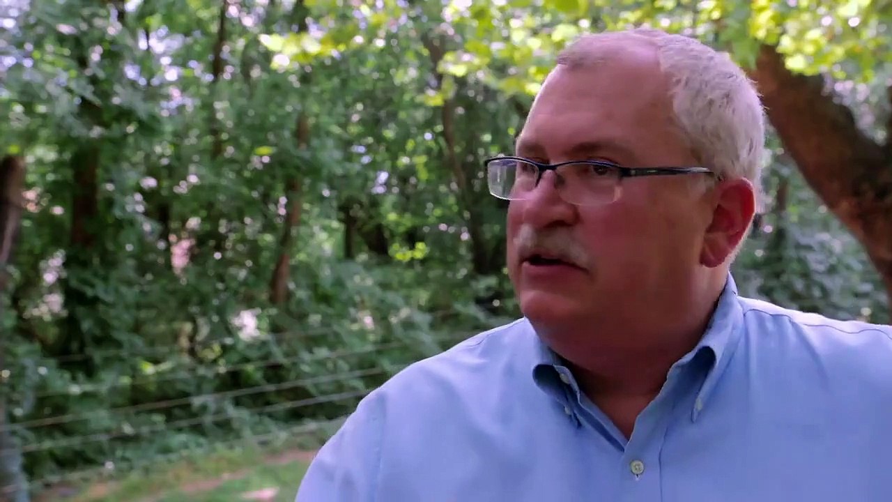 The Zoo - Se5 - Ep04 - Cubs in Queens HD Watch