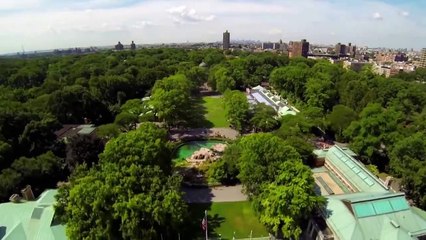 The Zoo - Se5 - Ep08 - Tiny Fox, Big Heart HD Watch