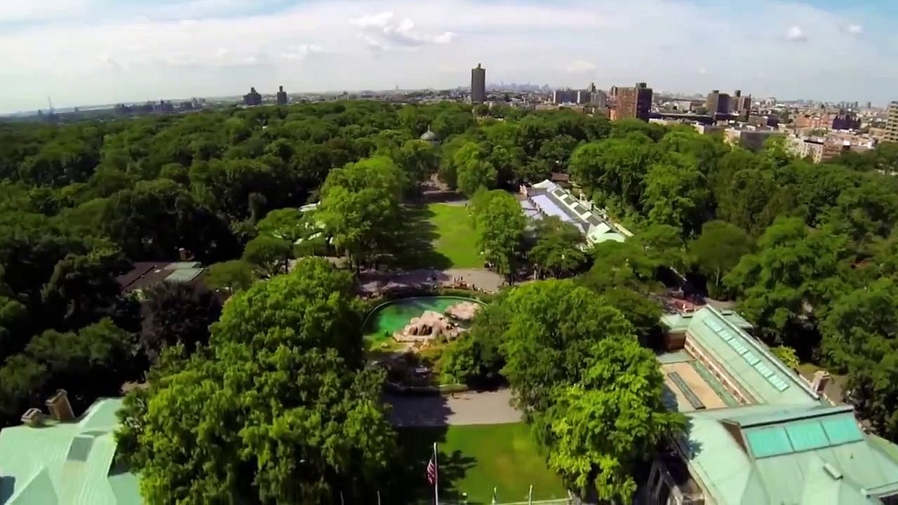 The Zoo - Se5 - Ep08 - Tiny Fox, Big Heart HD Watch