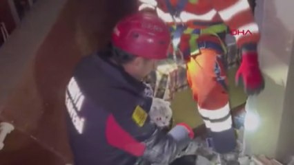 Depremde 11 gündür mahsur kalan kedi kurtarıldı 