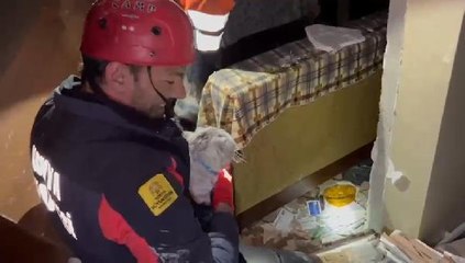 DEPREMDE 11 GÜNDÜR MAHSUR KALAN KEDİ KURTARILDI