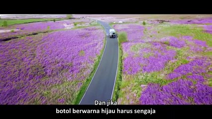 Once a Year on Blackpool Sands (2021) sub indo