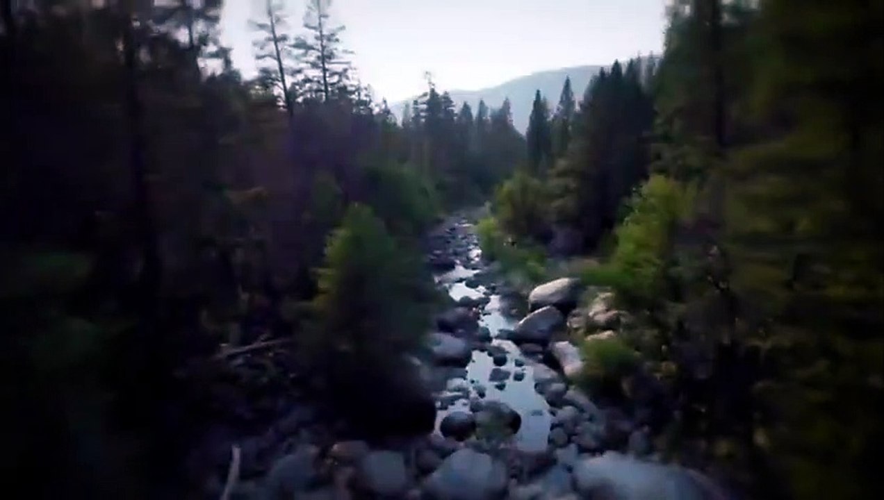 Trr in the Woods - Se2 - Ep08 - It was Just Like a Nightmare and We're Not Gonna Make It Out HD Watch