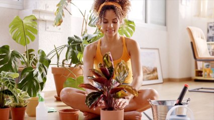 How to Revive a Dying Houseplant—and When It’s Time to Say Goodbye