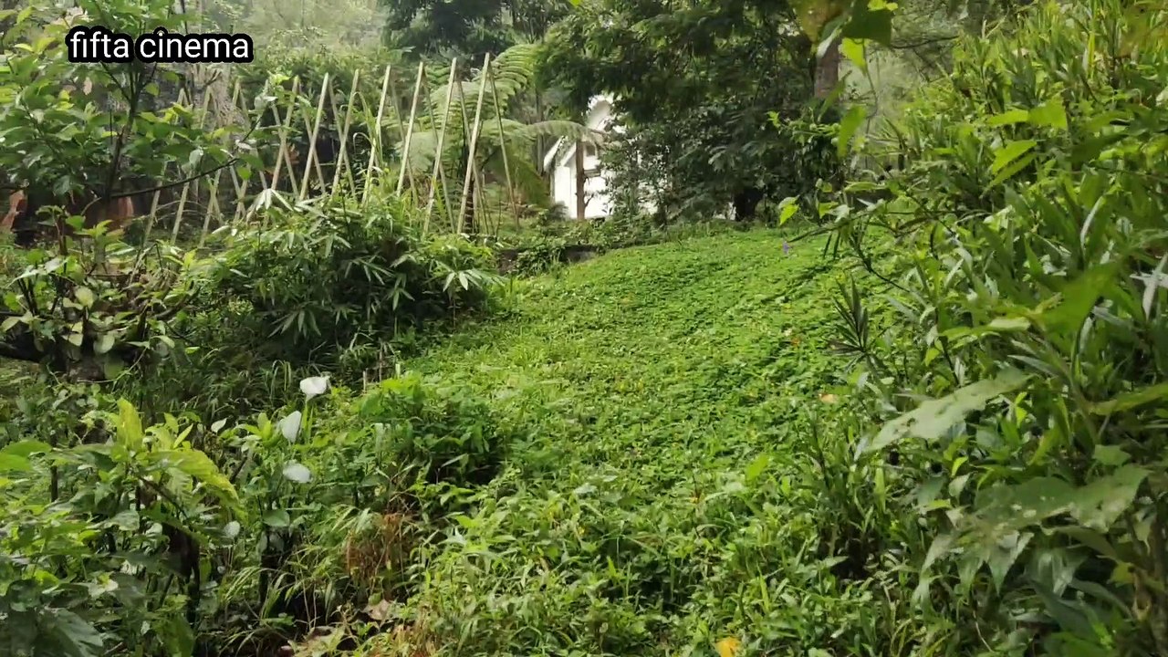 wisata pujon MALANG