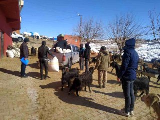 Siirt'ten deprem bölgesine 100 ton yem ve saman gönderildi