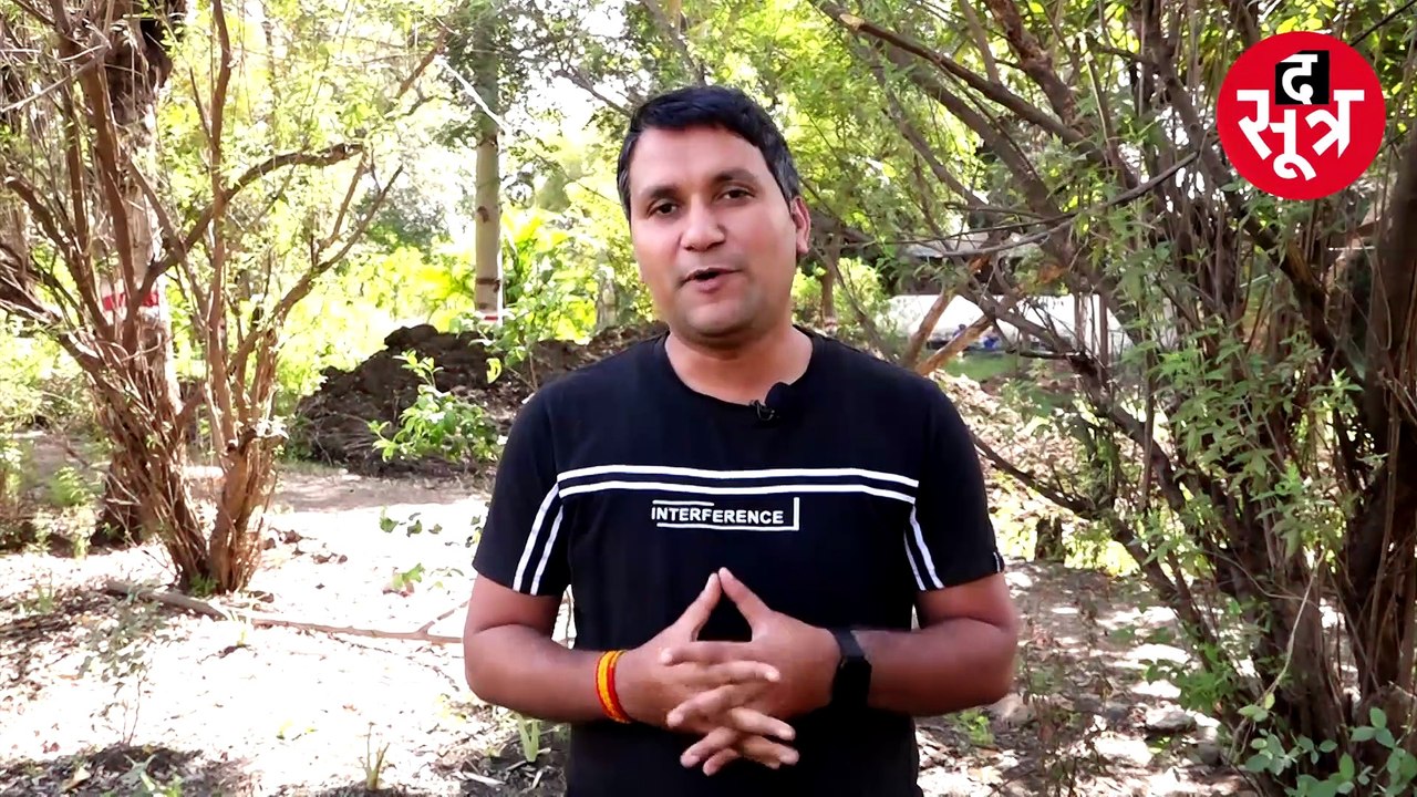 विंध्य नर्सरी में हल्दी, चुकंदर, गाजर, पालक और फूलों से तैयार हो रहा गुलाल, नहीं है कोई साइड इफैक्ट