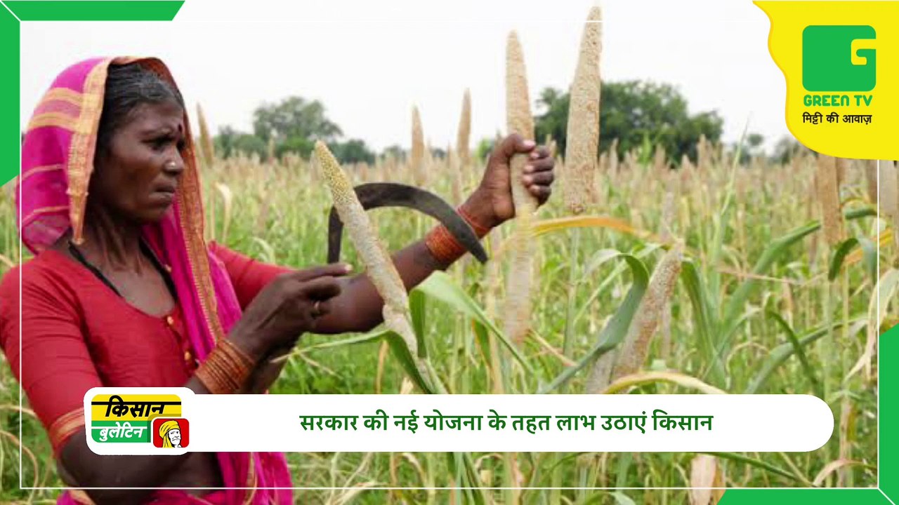 Kisan Bulletin 22 Feb 2023 - मोटे अनाज की खेती करने वालो को मिलेगा 10 हजार रूपये का अनुदान, नई योजना के तहत लाभ उठाएं किसान