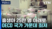 지난해 출생아 25만 명 깨져...합계출산율 OECD 최저 / YTN