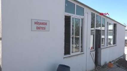 KAHRAMANMARAŞ'TA ENKAZLARDAN KURTARILAN 400 KEDİ VE KÖPEK TEDAVİ EDİLDİ