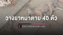The Hope Thailand ลงพื้นที่ตรวจข้อเท็จจริง หมาถูกวางยาตาย 40 ตัว | HOTSHOT เดลินิวส์ 17/02/66