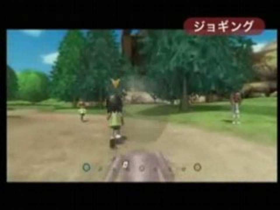 Wii Fit