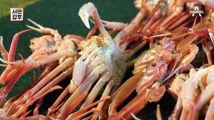 [선공개] 6개월 만에 매출 30억 원을 만들어 낸 대게 갑부의 특급 비결은?