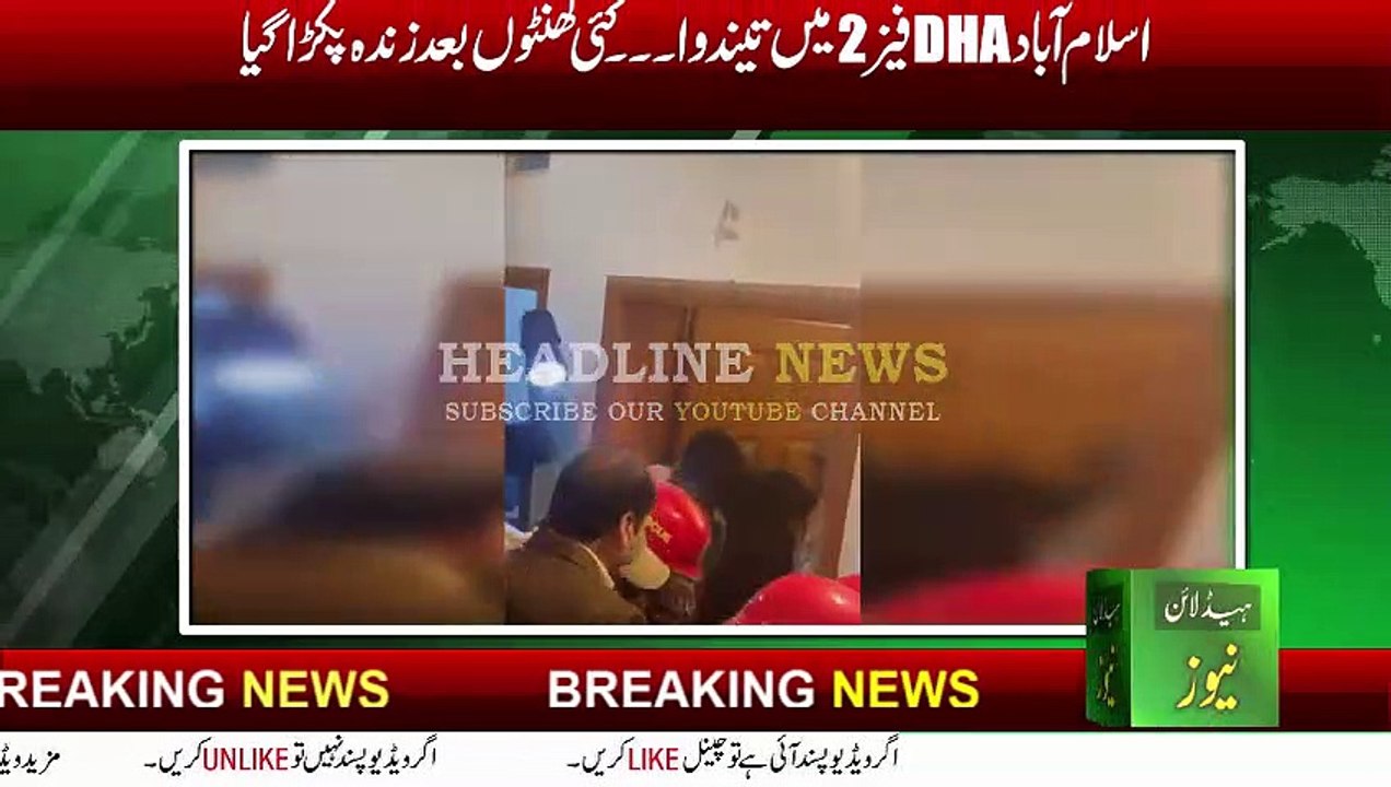 DHA Phase 2 leopard was captured alive several hours later