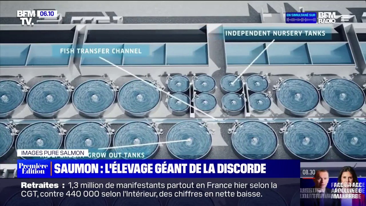 Gironde: des militants s'opposent à un projet d'usine à saumons