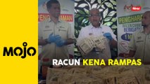 10,125 racun siput gondang emas tak berdaftar dirampas