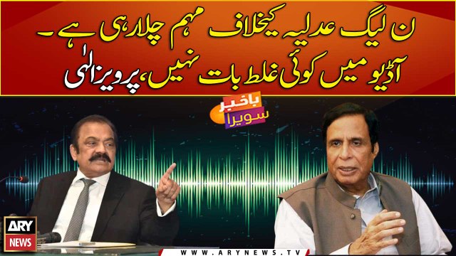 PML-N is running a campaign against the judiciary: Chaudhry Pervaiz Elahi