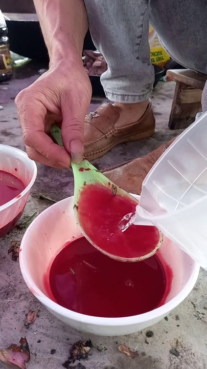 Vietnam's Most Horrible Food - La nourriture la plus horrible du Vietnam