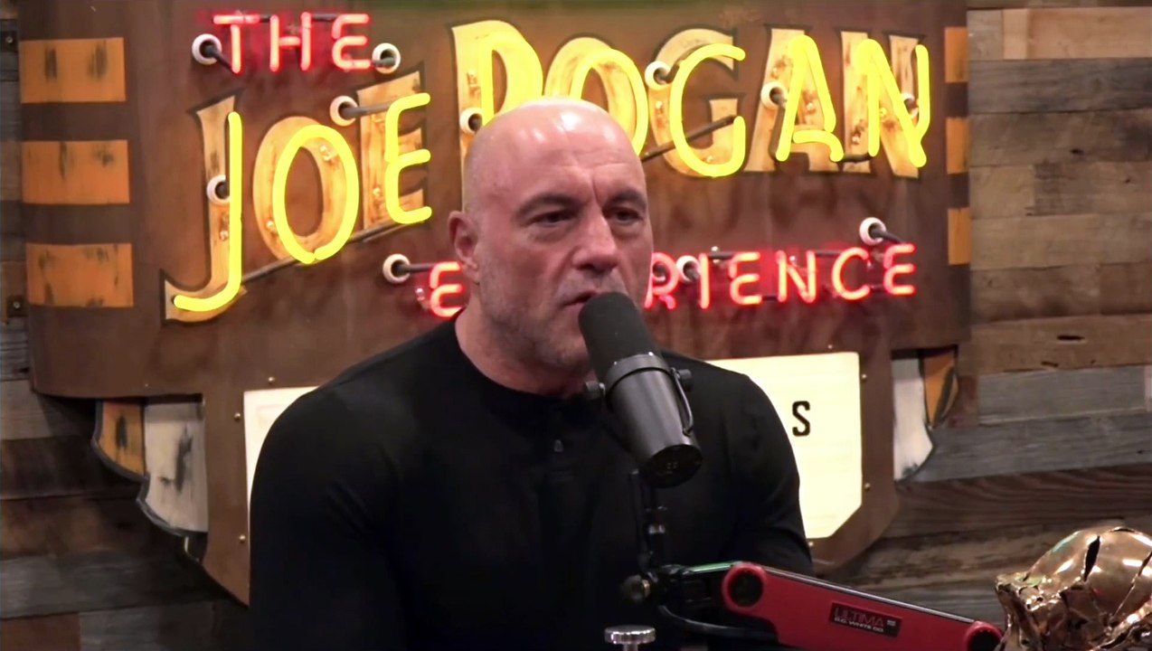 Joe Rogan- Jordan Peterson Speaks About His VISION