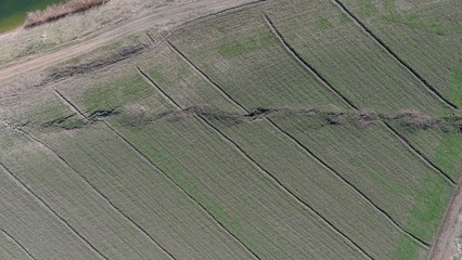 Kahramanmaraş'ta tarım arazilerini kaydıran fay havadan görüntülendi