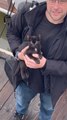 Guy Finds Cat at Train Station and Adopts Them