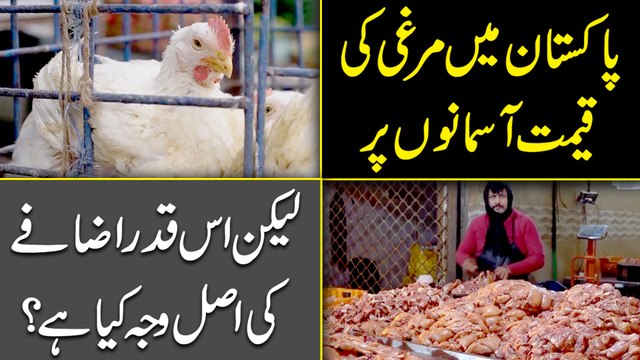 Pakistan mei murghi ki qeemat asmano per, likin iss qadr izafay ki asl waja kia hai?