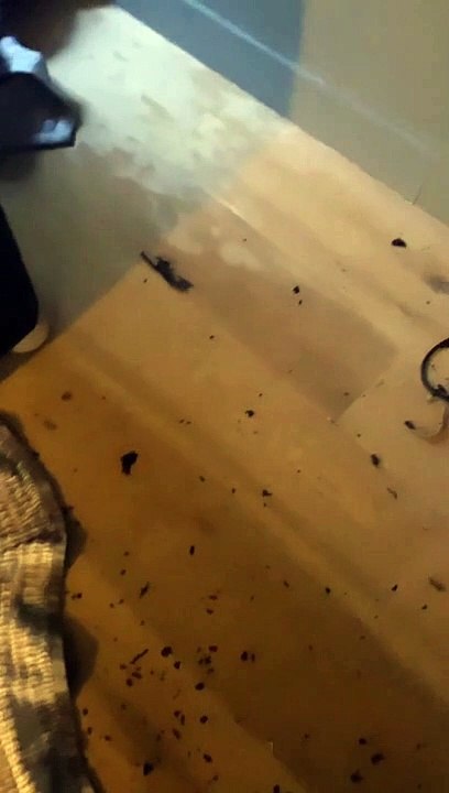 L'ancienne actrice de "Demain nous appartient" a dévoilé des images des dégâts