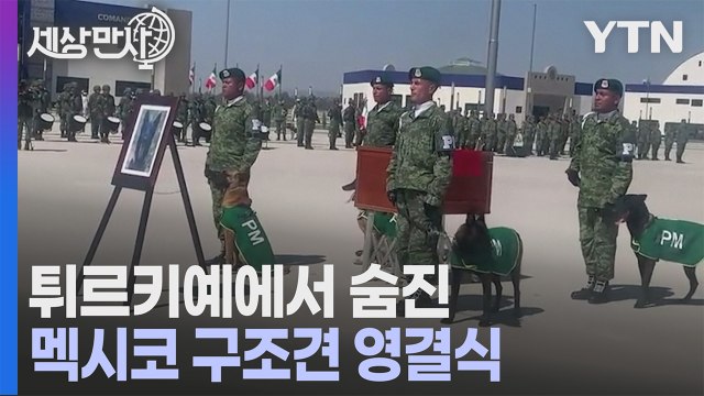 [세상만사] 지진 구조 활동 도중 숨진 멕시코 군견 영결식 / YTN