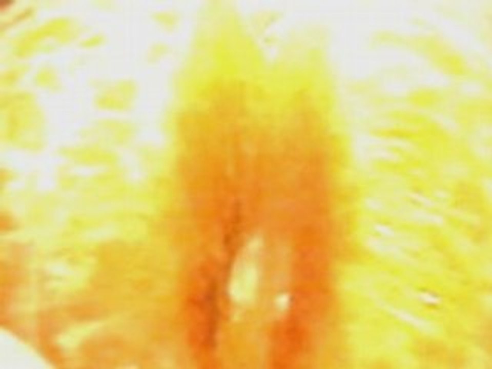 mandarina 03