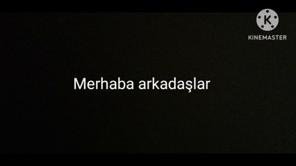 En Tatlı Kedi Videoları #1