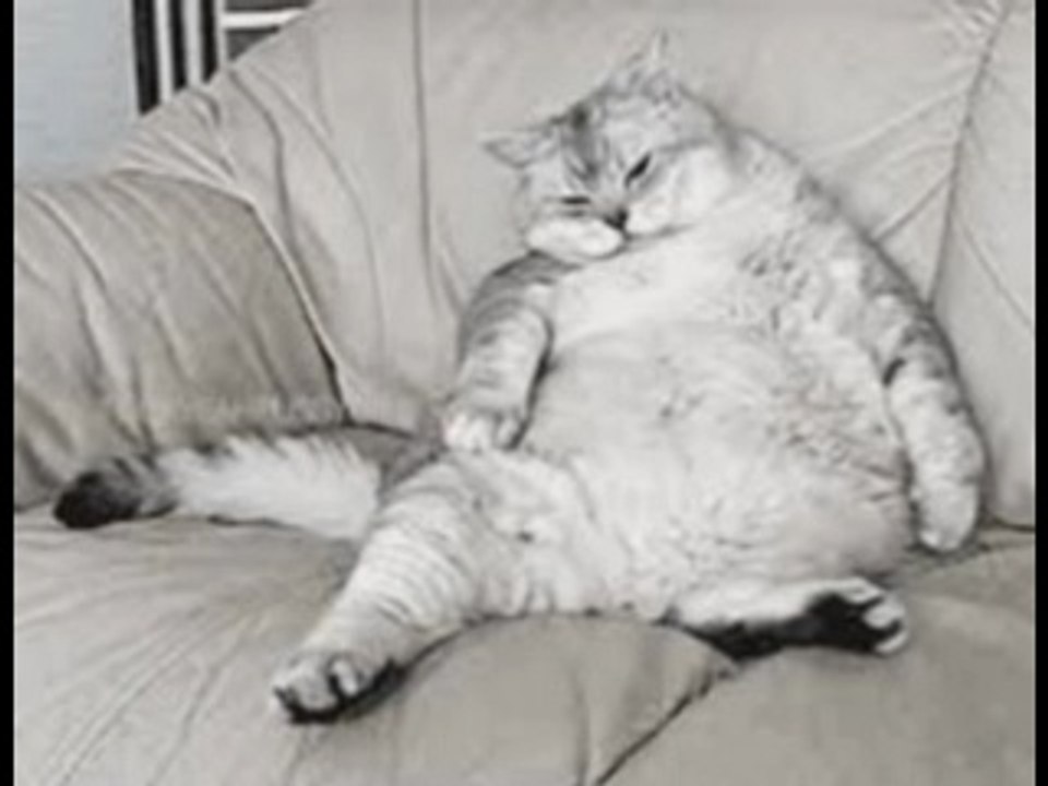 RORY GALLAGHER TRIBUTE - OFF the HANDLEPerformed by C. PLUSQUELLEC and the GHOST MEN