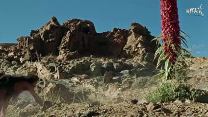 One Million Years B.C. - Un Milion de ani înaintea erei noastre (1966)