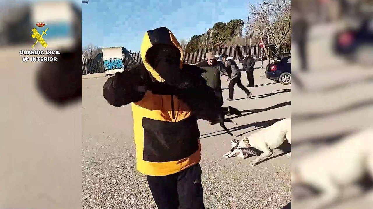 Maltrato animal