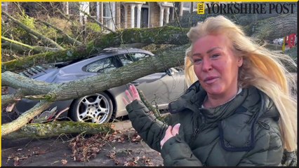 Storm Otto: Porsche 911 car crushed by fallen tree in Harrogate