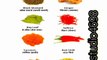 spices names in english |spices name | मसालों के नाम | Spices names in english and hindi#shorts