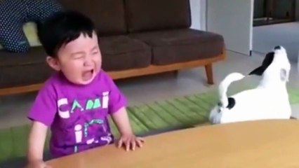 Suprise with some weird actions of animals