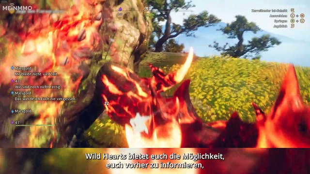 Wild Hearts - 7 wichtige Tipps für euren erfolgreichen Start