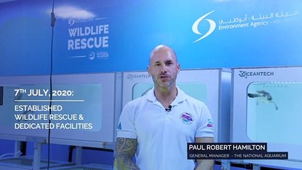 TNA Milestone Highlights 🎥