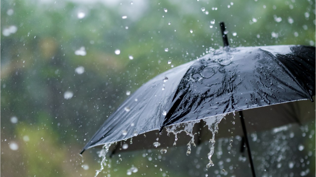Milde Temperaturen statt Wintereinbruch: Hier lässt sich der Frühling blicken
