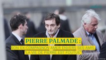 Pierre Palmade : son ex-compagnon amer envers ses amis, 