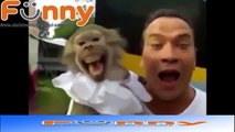 FUNNY Animals Talking _ Screaming Like Humans! Yelling Dogs Cats and Animal