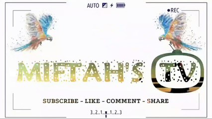 Ricuh! Detik-Detik Kerusuhan di Stadion Jatidiri Semarang, Polisi Kembali Tembakkan Gas Air Mata