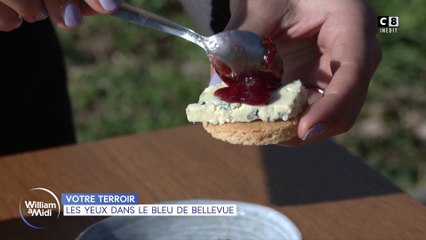 Votre terroir : Nos meilleurs accords pour déguster les fromages bleus !