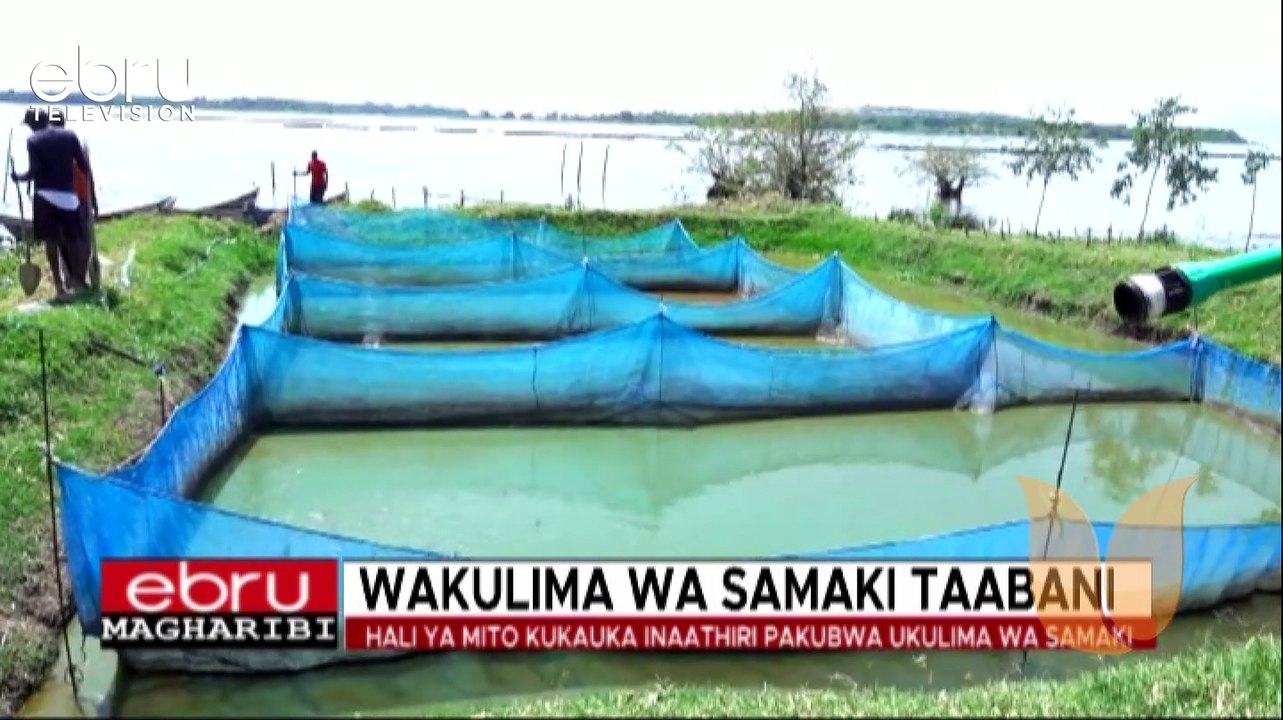Wakulima Wa Samaki Taabani