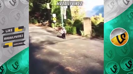 Wasted Vines Compilation    Funny Vines Compilation 2015