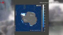 Scientists Sound Alarm: Sea Ice Surrounding Antarctica Hits New Record Low