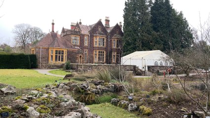 Bristol’s Hidden Gem: University of Bristol’s Botanic Gardens